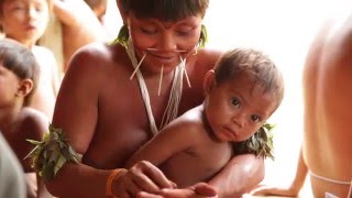 The Yanomami people are contaminated by mercury used in gold digging [upl. by Perrie]