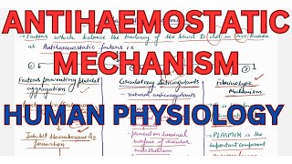 Antihaemostatic mechanism fibrinolysis Telegram httpstmedrshikhasaxenahumanphysio [upl. by Iaras]