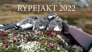 Rypejakt 2022 1011 september [upl. by Halyhs]