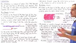 Microfilaments Intermediate Filaments and Microtubules [upl. by Eeclehc]