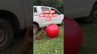 Hilarious Tiny Dachshunds Ball Obsession [upl. by Ainegul370]