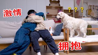 金毛看到主人“激情拥抱quot会是什么反应？ [upl. by Colan]