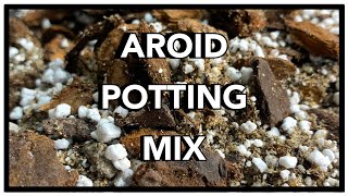 Potting Mix for Monstera  Aroid Potting Mix Recipe  How to Ep 41 [upl. by Jorrie]