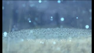 Why esterify butyric acid [upl. by Noslen]