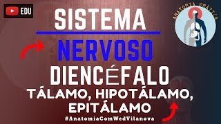 Diencéfalo Tálamo  Hipotálamo  Epitálamo  Sistema Nervoso  Anatomia Prática  VideoAula [upl. by Tadd]