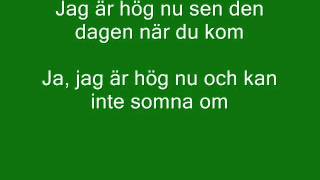 För dig  Lars Winnerbäck med lyrics [upl. by Gnav]