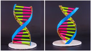 Science Projects  DNA Structure Model [upl. by Gruver]