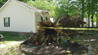 Tree falls on Suffolk home due to high winds from storm [upl. by Carroll]