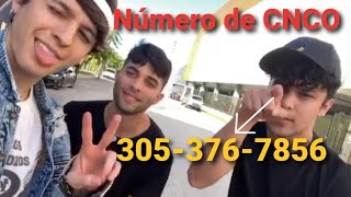 CNCO deja su número de teléfono a todas las CNCOWNERS 3053767856 [upl. by Dianthe]