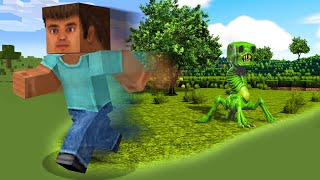 If I Touch Grass Minecraft Gets More Realistic [upl. by Trutko873]