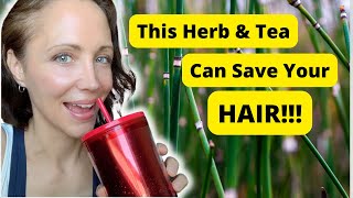 HORSETAIL TEA BENEFITS How This Herb and Tea Can Save Your Hair and so much more [upl. by Hanavas]