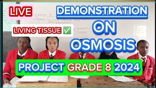 How To Demonstrate Osmosis In Living TissuesScience Grade 8 Project 2024 [upl. by Aketahs878]