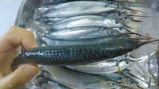 Japanese Halfbeak Cutting and cooking [upl. by Nela]