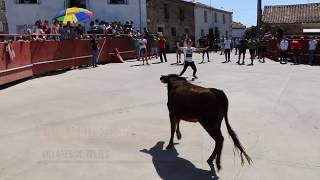 Encierro en Villares de Yeltes [upl. by Rosenbaum235]