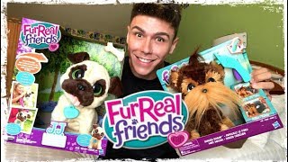 NOVIDADE Cachorrinhos Fofos FURREAL FRIENDS PETER TOYS [upl. by Young]