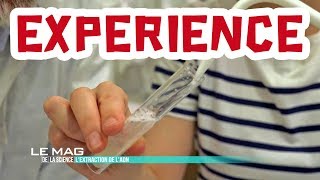 Extraire de lADN  Expérience 03 [upl. by Berlauda]