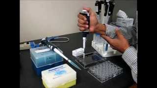 Hanging Drop Protein Crystallization Setup Tutorial and Demonstration [upl. by Nitza151]