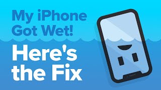 My iPhone Got Wet How To Fix iPhone Water Damage [upl. by Kazim391]