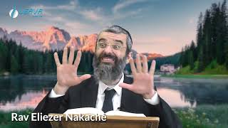 NOTRE PLUS GRANDE SOURCE DE VITALITÉ  27  LIVRE NÉFECH HAHAIM  RAV NAKACHE [upl. by Silrac491]