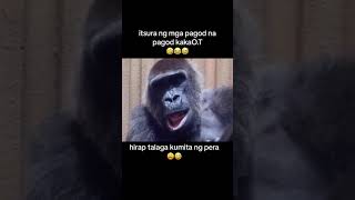 Yan ang mangyayari sa kaka OT sa work🤣🤣🤣 youtube justforfun mankey [upl. by Nael581]