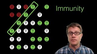 Vaccines and Herd Immunity [upl. by Owens800]