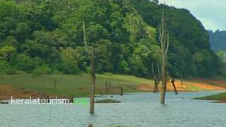 Periyar Wildlife Sanctuary [upl. by Briny970]