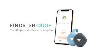 Findster Duo The GPS Pet Tracker Free of Monthly Fees [upl. by Saffian]