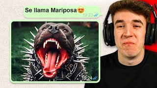 ADOPTA MI PERRO 😍  LA CONVERSACION de WHATSAPP MAS RANDOM 6 [upl. by Pauletta]