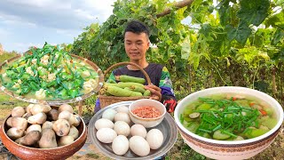 Chef Ny go to the plantation pick luffa gourd to cook and eat Khmer soup recipe Chef Ny cooking [upl. by Aciretahs]