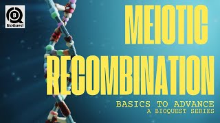 Meiotic Recombination  Homologous Recombination in Eukaryotes  Fundamental Processes  B2A [upl. by Ahdar474]