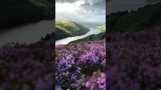 Derwent Edge hike in the Peak District [upl. by Gasser]