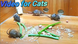 Cat TV mice digging burrows  holes in sand and hide amp seek for cats to watch [upl. by Nnaharas698]