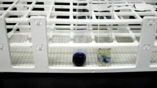 Indophenol as an indicator for ascorbic acid vitamin C [upl. by Lathe]