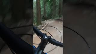 Mt froome  Bobsled Trail britishcolumbia canada mountainbike mtb [upl. by Issy]