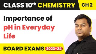 Importance of pH in Everyday Life  Acid Bases and Salts  Class 10 Chemistry [upl. by Vershen]