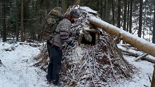 My Life in The Forest  Build wooden shelters in the forest to avoid the cold during winter [upl. by Ennayoj]