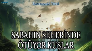 Sabahın Seherinde Ötüyor Kuşlar  Enstrumental Türkü [upl. by Mosenthal212]