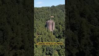 Hotel Único no Coração das Montanhas e Florestas de Hunan curiosidades curiosidadesnaturais [upl. by Kalin]