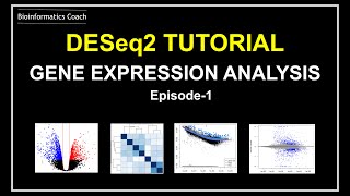 DESeq2 and Geo2R workflow tutorial  Differential Gene Expression Analysis  RNA Seq [upl. by Hellah377]