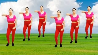 Aerobics dance workout weight loss fast reduce body fat burn calorieslovely dance fit [upl. by Elizabet]