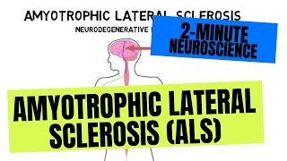 2Minute Neuroscience Amyotrophic Lateral Sclerosis ALS [upl. by Yarrum]