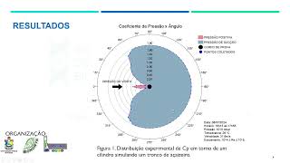 Efeito da ação do vento em estipes de açaizeiros Euterpe Oleracea [upl. by Mccarthy]