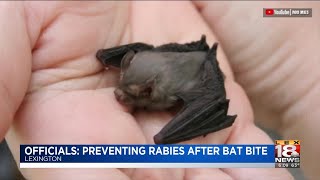 Officials Preventing Rabies After Bat Bite [upl. by Ahsinyar200]