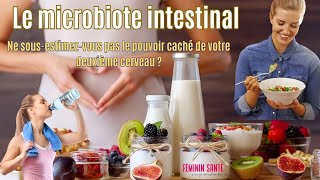 Le microbiote intestinal  Ne sousestimezvous pas le pouvoir caché de votre deuxième cerveau [upl. by Eimmat911]