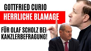 Gottfried Curio 😎 Nach Befragung Olaf Scholz schweißgebadet 😱 [upl. by Damahom]