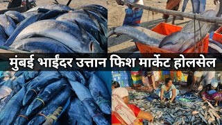 Uttan Fish Market In Bhayandar Wholesale Fish Market Mumbai 2023 [upl. by Rosie498]