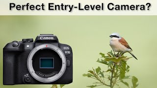 Canon R10 Review  The perfect entrylevel camera [upl. by Ettenowtna199]