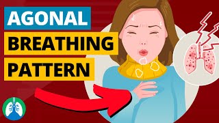 Agonal Breathing Medical Definition  Quick Explainer Video [upl. by Ahseet695]