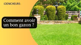 🏠​Comment avoir un bon gazon  💯 [upl. by Debi]