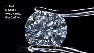 Fundamentals of diamond clarity [upl. by Notwal182]